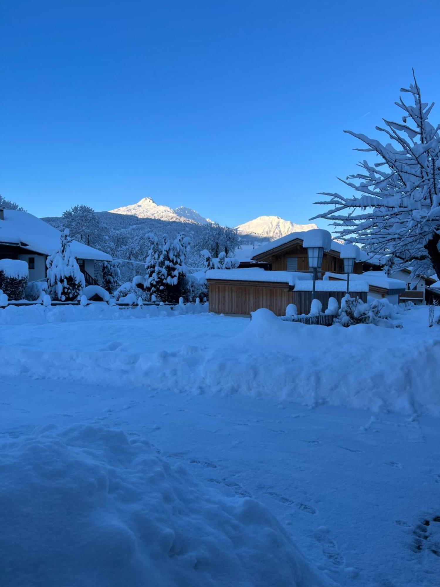 埃尔瓦尔德Haus Alpenblume公寓 外观 照片