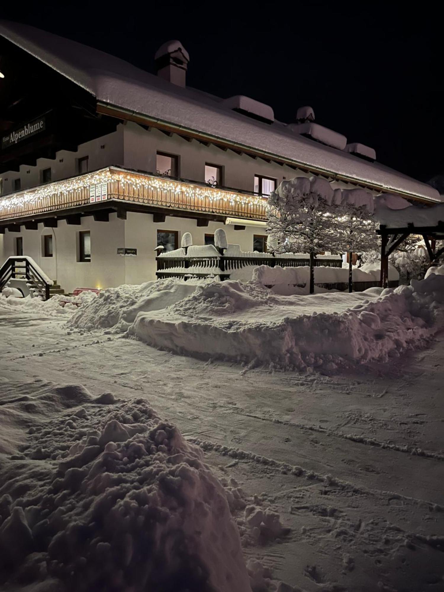 埃尔瓦尔德Haus Alpenblume公寓 外观 照片