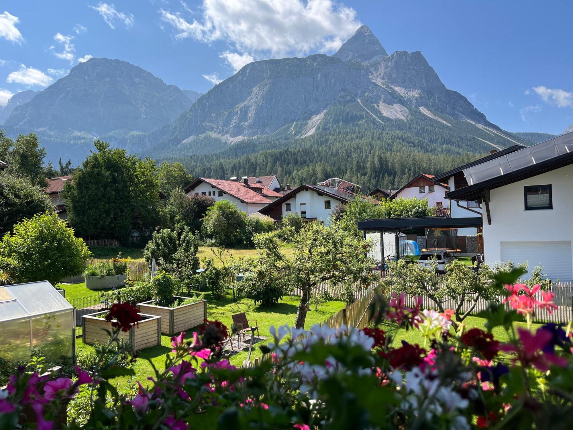 埃尔瓦尔德Haus Alpenblume公寓 外观 照片